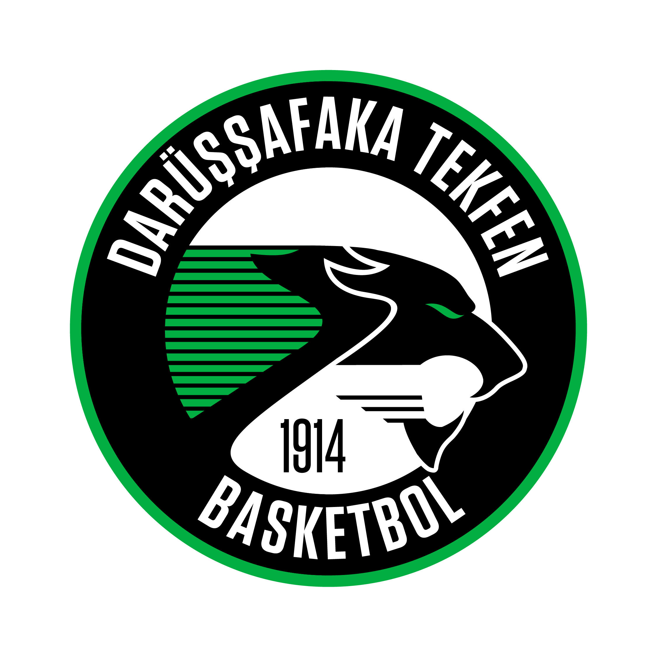 Darüssafaka